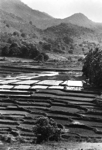 hills-and-rice-fields-near-bissam-cuttack-1